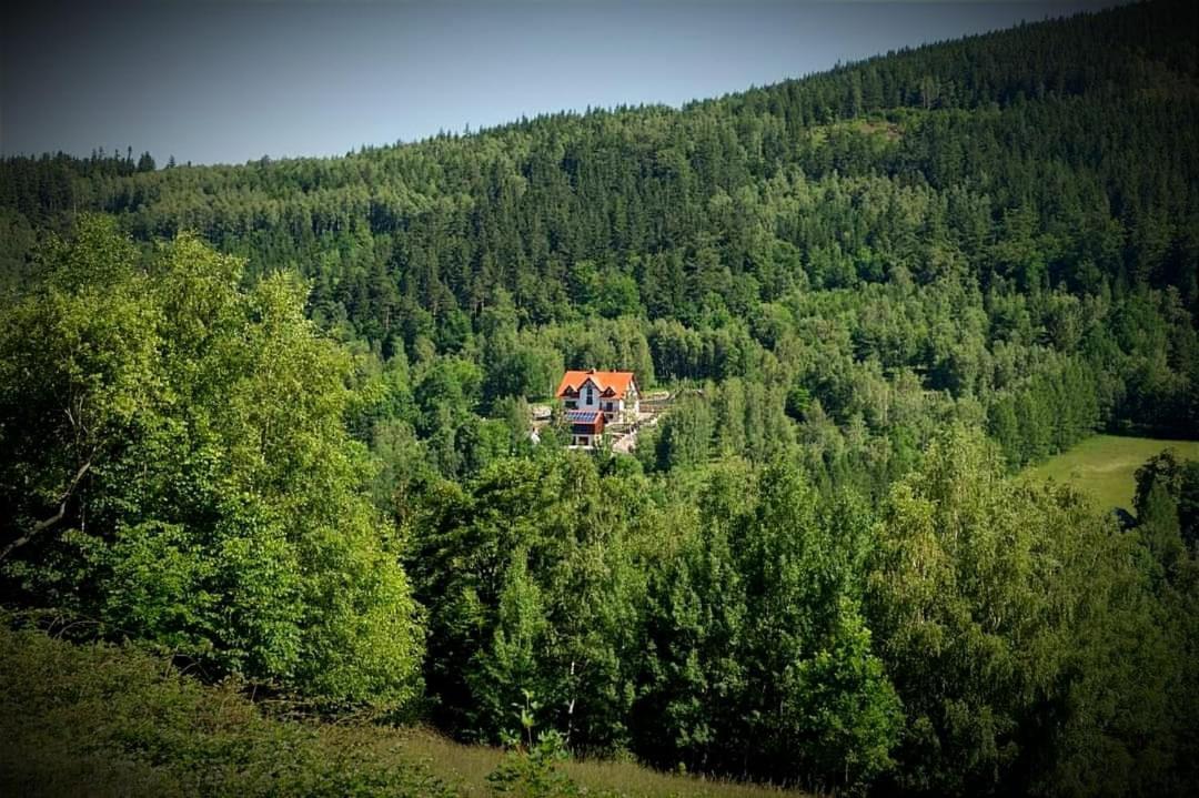 Apartamety I Pokoje Goscinne Na Jaskolczej Świeradów-Zdrój Kültér fotó